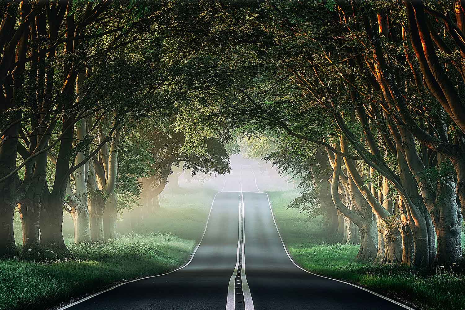 Endless Path-CP113.jpg